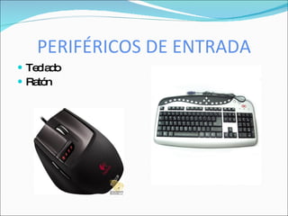 PERIFÉRICOS DE ENTRADA
 Te la o
    c d
 Ra n
    tó
 