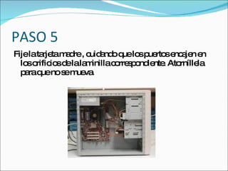 PASO 5
Fijelata tam d , c a o q lo p rto e a n e
        rje a re uid nd ue s ue s nc je n
  lo o io d lala inillac rre p nd nte Ato
    s rific s e   m     o s o ie .       rníllela
  p raq nos m va
   a ue       e ue .
 