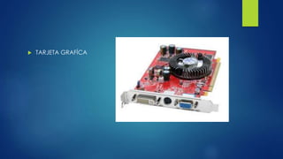  TARJETA GRAFÍCA
 