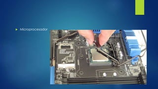  Microprocesador
 