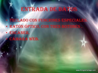 ENTRADA DE DATOSTeclado con funciones especiales.Ratón óptico, con tres botones .Escáner.Cámara web.
