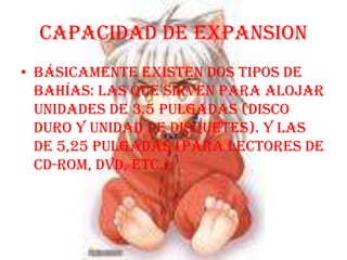 CAPACIDAD DE EXPANSION Básicamente existen dos tipos de bahías: las que sirven para alojar unidades de 3.5 pulgadas (disco duro y unidad de disquetes). Y las de 5,25 pulgadas (para lectores de CD-ROM, DVD, etc.).