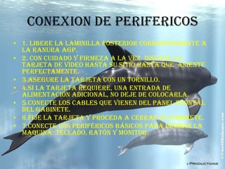 CONEXION DE PERIFERICOS 1. libere la laminilla posterior correspondiente a  la ranura AGP.2. con cuidado y firmeza a la vez  inserte la tarjeta de video hasta su sitio hasta que  asiente perfectamente.3.asegure la tarjeta con un tornillo.4.si la tarjeta requiere, una entrada de alimentación adicional, no deje de colocarla.5.conecte los cables que vienen del panel frontal del gabinete.6.fije la tarjeta y proceda a cerrar el gabinete.7.conecte los periféricos básicos para probar la maquina: teclado, ratón y monitor.