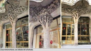Casa Antonia Bures. Los árboles de la fachada.
 