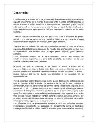 Desarrollo

La utilización de animales en la experimentación ha sido desde siglos pasados un
aspecto fundamental en el avance de ciencias tanto médicas como biológicas. El
utilizar animales a traído beneficios a investigaciones que han logrado conocer
más acerca del ser humano de sus y esto ha sido un punto fundamental para la
invención de nuevos medicamentos que han conseguido mejorías en la salud
humana.

También existen experimentos que van enfocados hacia el bienestar del propio
animal con el que se experimenta o estudios dirigidos a conocer más a fondo
características de especies en extinción, entre otros ejemplos.

En estos tiempos más de cien millones de animales son usados todos los años en
experimentos de laboratorio alrededor del mundo. Los animales con los que más
se experimenta son ratones, ratas, conejos, peces, pájaros, gatos, perros y
primates.
Estos animales usados en la experimentación pueden ser criados en
establecimientos especializados para este propósito, capturados en la vida
silvestre o de las poblaciones callejeras.

A pesar de que se cuestione si es bueno el utilizar animales en la
experimentación, sin lugar a dudas cabe decir que hay experimentos que no se
habrían obtenido los resultados deseables si no se hubiera utilizado a un animal ,
porque aunque así no se quiera los animales si se necesitan en la
experimentación.

Pero a pesar que sean indispensables eso no quiere decir que no se les cuide, asi
que el cuidado a los animales de experimentación, en lo que respecta a
alimentación, higiene, condiciones de confort -como temperatura, espacio, debe
realizarse, no sólo por lo que respecta a las posibles complicaciones que puedan
acarrear en la interpretación de los resultados de los experimentos, o para evitar
que sufran infecciones o enfermedades que inutilicen su uso, o porque si no se les
trata bien se vuelven irascibles y tienden a morder, arañar, etc., sino, también, por
el propio animal; porque sería falta de ética y de sentido profesional hacer sufrir
innecesariamente, o por hacer sufrir, al animal.
Los diferentes tipos de experimentos llevados a cabo con animales incluyen:
investigación fundamental (la búsqueda de conocimiento como la fisiología),
investigación biomédica (utiliza modelos animales para enfermedades humanas);



                                                                                   4
 