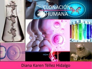 CLONACIÓN
            HUMANA




Diana Karen Téllez Hidalgo
 