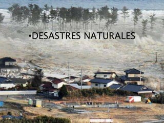 •DESASTRES NATURALES
 