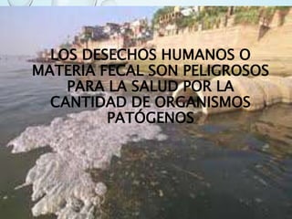 LOS DESECHOS HUMANOS O
MATERIA FECAL SON PELIGROSOS
PARA LA SALUD POR LA
CANTIDAD DE ORGANISMOS
PATÓGENOS
 