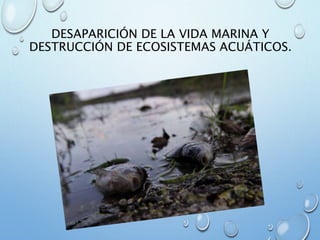 DESAPARICIÓN DE LA VIDA MARINA Y
DESTRUCCIÓN DE ECOSISTEMAS ACUÁTICOS.
 
