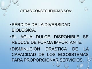 OTRAS CONSECUENCIAS SON:
•PÉRDIDA DE LA DIVERSIDAD
BIOLÓGICA.
•EL AGUA DULCE DISPONIBLE SE
REDUCE DE FORMA IMPORTANTE.
•DISMINUCIÓN DRÁSTICA DE LA
CAPACIDAD DE LOS ECOSISTEMAS
PARA PROPORCIONAR SERVICIOS.
 