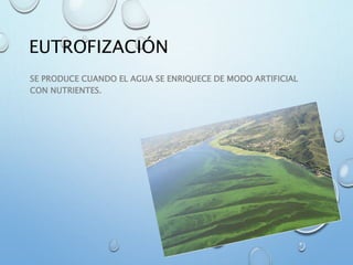 EUTROFIZACIÓN
SE PRODUCE CUANDO EL AGUA SE ENRIQUECE DE MODO ARTIFICIAL
CON NUTRIENTES.
 