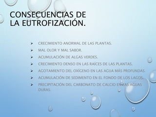 CONSECUENCIAS DE
LA EUTROFIZACIÓN.
 CRECIMIENTO ANORMAL DE LAS PLANTAS.
 MAL OLOR Y MAL SABOR.
 ACUMULACIÓN DE ALGAS VERDES.
 CRECIMIENTO DENSO EN LAS RAÍCES DE LAS PLANTAS.
 AGOTAMIENTO DEL OXÍGENO EN LAS AGUA MÁS PROFUNDAS.
 ACUMULACIÓN DE SEDIMENTO EN EL FONDO DE LOS LAGOS.
 PRECIPITACIÓN DEL CARBONATO DE CALCIO EN LAS AGUAS
DURAS.
 