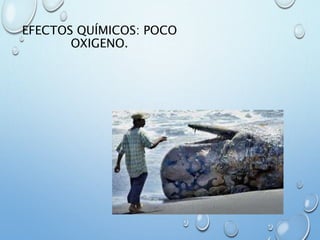 EFECTOS QUÍMICOS: POCO
OXIGENO.
 
