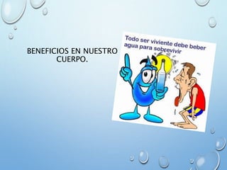 BENEFICIOS EN NUESTRO
CUERPO.
 