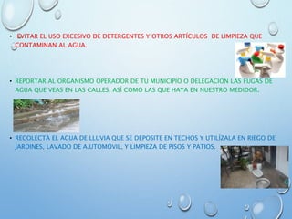 • EVITAR EL USO EXCESIVO DE DETERGENTES Y OTROS ARTÍCULOS DE LIMPIEZA QUE
CONTAMINAN AL AGUA.
• REPORTAR AL ORGANISMO OPERADOR DE TU MUNICIPIO O DELEGACIÓN LAS FUGAS DE
AGUA QUE VEAS EN LAS CALLES, ASÍ COMO LAS QUE HAYA EN NUESTRO MEDIDOR.
• RECOLECTA EL AGUA DE LLUVIA QUE SE DEPOSITE EN TECHOS Y UTILÍZALA EN RIEGO DE
JARDINES, LAVADO DE A.UTOMÓVIL, Y LIMPIEZA DE PISOS Y PATIOS.
 