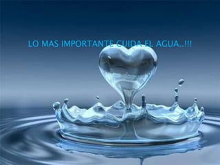 LO MAS IMPORTANTE CUIDA EL AGUA..!!!
 