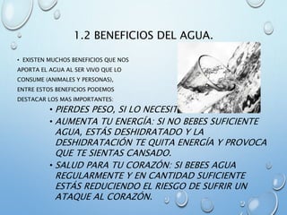 1.2 BENEFICIOS DEL AGUA.
• EXISTEN MUCHOS BENEFICIOS QUE NOS
APORTA EL AGUA AL SER VIVO QUE LO
CONSUME (ANIMALES Y PERSONAS),
ENTRE ESTOS BENEFICIOS PODEMOS
DESTACAR LOS MAS IMPORTANTES:
• PIERDES PESO, SI LO NECESITAS.
• AUMENTA TU ENERGÍA: SI NO BEBES SUFICIENTE
AGUA, ESTÁS DESHIDRATADO Y LA
DESHIDRATACIÓN TE QUITA ENERGÍA Y PROVOCA
QUE TE SIENTAS CANSADO.
• SALUD PARA TU CORAZÓN: SI BEBES AGUA
REGULARMENTE Y EN CANTIDAD SUFICIENTE
ESTÁS REDUCIENDO EL RIESGO DE SUFRIR UN
ATAQUE AL CORAZÓN.
 