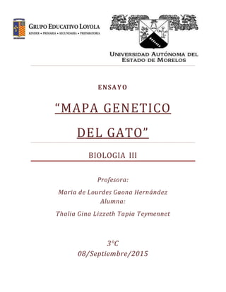 ENSAYO
“MAPA GENETICO
DEL GATO”
BIOLOGIA III
Profesora:
Maria de Lourdes Gaona Hernández
Alumna:
Thalia Gina Lizzeth Tapia Teymennet
3°C
08/Septiembre/2015
 