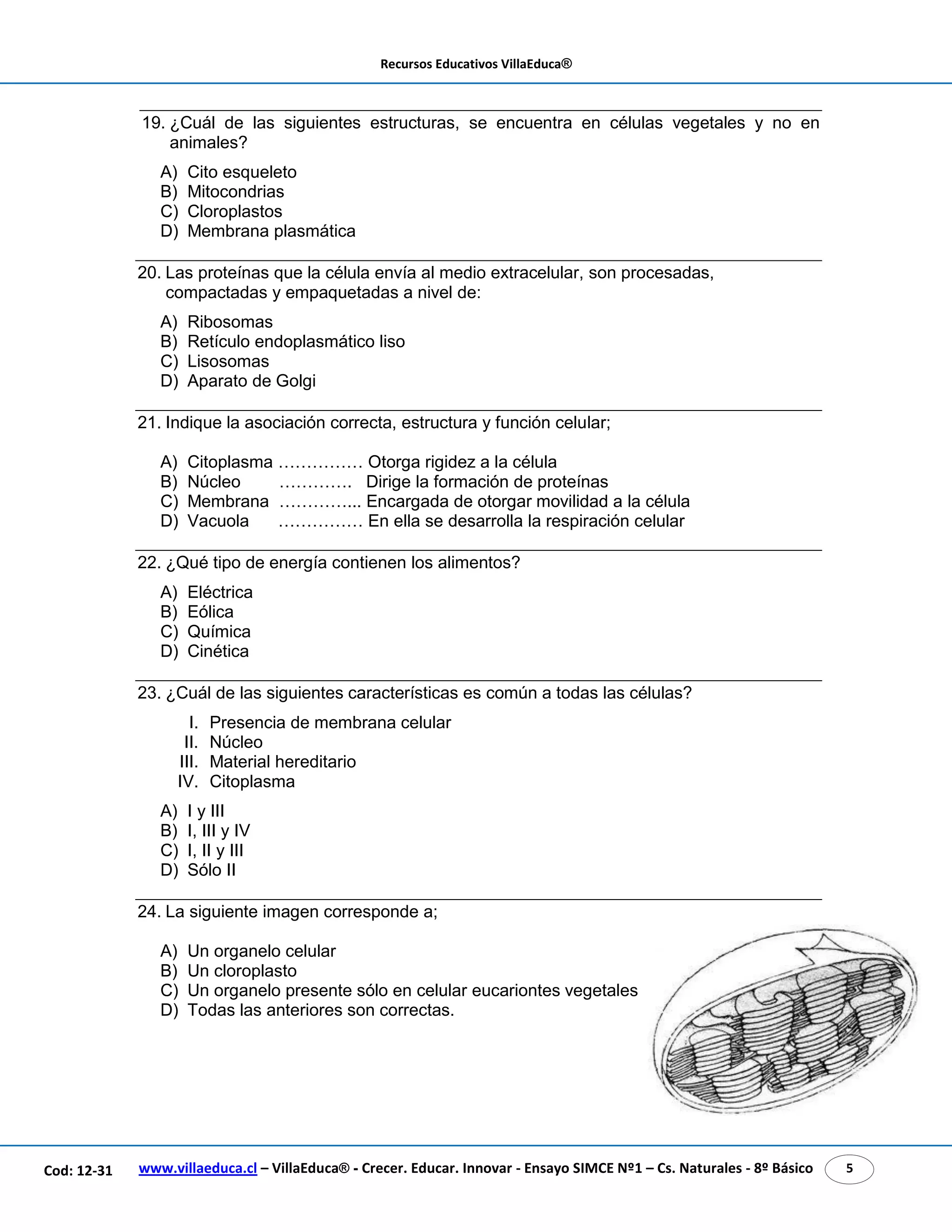 Recursos Educativos VillaEduca®
www.villaeduca.cl – VillaEduca® - Crecer. Educar. Innovar - Ensayo SIMCE Nº1 – Cs. Naturales - 8º Básico 5Cod: 12-31
19. ¿Cuál de las siguientes estructuras, se encuentra en células vegetales y no en
animales?
A) Cito esqueleto
B) Mitocondrias
C) Cloroplastos
D) Membrana plasmática
20. Las proteínas que la célula envía al medio extracelular, son procesadas,
compactadas y empaquetadas a nivel de:
A) Ribosomas
B) Retículo endoplasmático liso
C) Lisosomas
D) Aparato de Golgi
21. Indique la asociación correcta, estructura y función celular;
A) Citoplasma …………… Otorga rigidez a la célula
B) Núcleo …………. Dirige la formación de proteínas
C) Membrana …………... Encargada de otorgar movilidad a la célula
D) Vacuola …………… En ella se desarrolla la respiración celular
22. ¿Qué tipo de energía contienen los alimentos?
A) Eléctrica
B) Eólica
C) Química
D) Cinética
23. ¿Cuál de las siguientes características es común a todas las células?
I. Presencia de membrana celular
II. Núcleo
III. Material hereditario
IV. Citoplasma
A) I y III
B) I, III y IV
C) I, II y III
D) Sólo II
24. La siguiente imagen corresponde a;
A) Un organelo celular
B) Un cloroplasto
C) Un organelo presente sólo en celular eucariontes vegetales
D) Todas las anteriores son correctas.
 