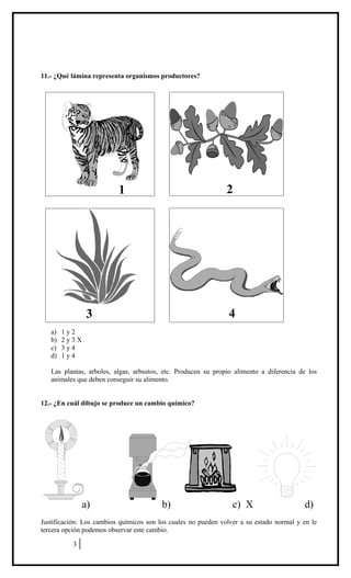 11.- ¿Qué lámina representa organismos productores?
a) 1 y 2
b) 2 y 3 X
c) 3 y 4
d) 1 y 4
Las plantas, arboles, algas, arb...