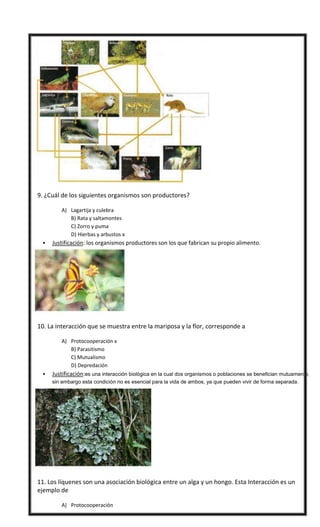  9. ¿Cuál de los siguientes organismos son productores?
A) Lagartija y culebra
B) Rata y saltamontes
C) Zorro y puma
D) Hierbas y arbustos x
 Justificación: los organismos productores son los que fabrican su propio alimento.
 10. La interacción que se muestra entre la mariposa y la flor, corresponde a
A) Protocooperación x
B) Parasitismo
C) Mutualismo
D) Depredación
 Justificación:es una interacción biológica en la cual dos organismos o poblaciones se benefician mutuamente,
sin embargo esta condición no es esencial para la vida de ambos, ya que pueden vivir de forma separada.
 11. Los líquenes son una asociación biológica entre un alga y un hongo. Esta Interacción es un
ejemplo de
A) Protocooperación
 