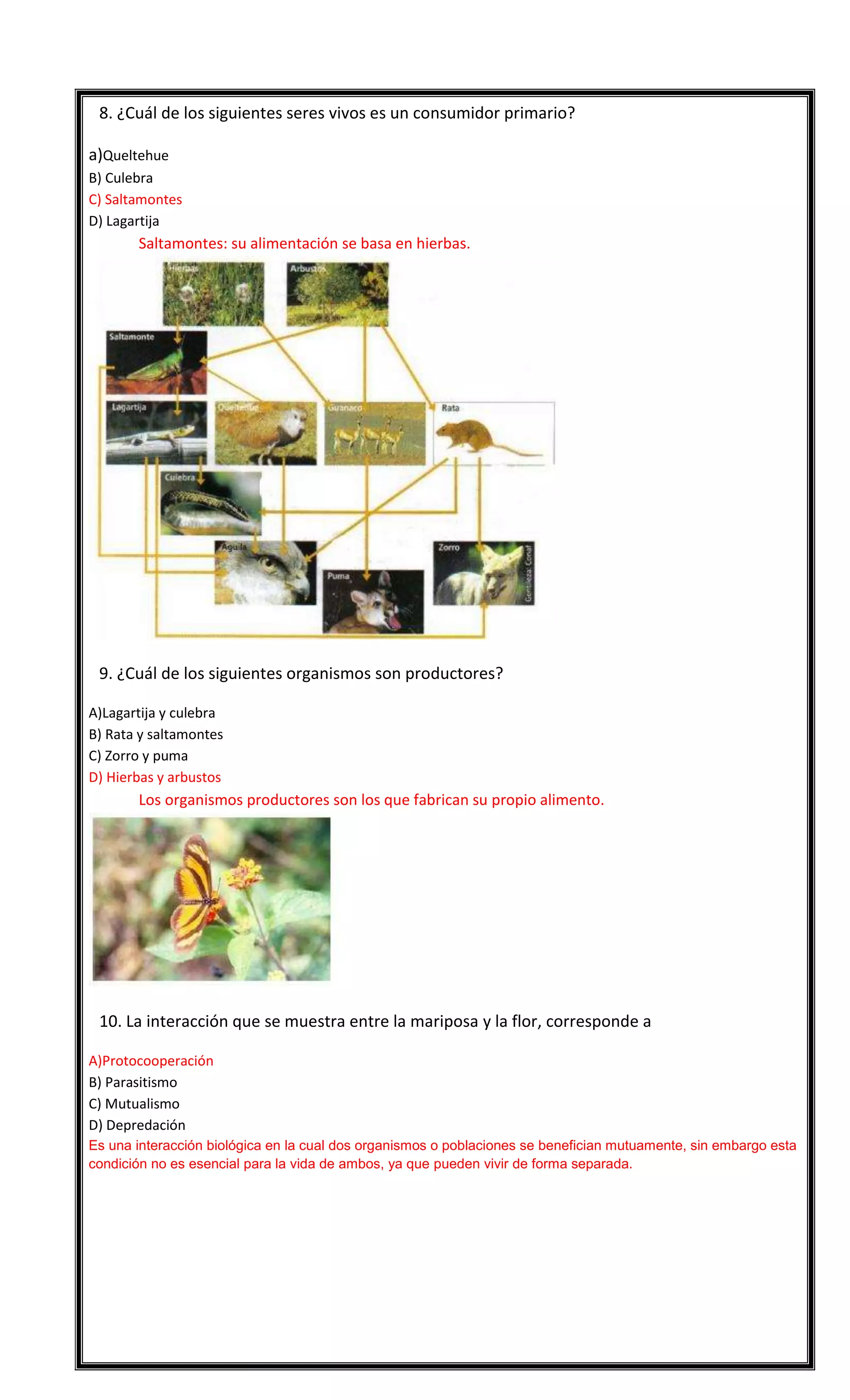 

8. ¿Cuál de los siguientes seres vivos es un consumidor primario?
a)Queltehue
B) Culebra
C) Saltamontes
D) Lagartija

Saltamontes: su alimentación se basa en hierbas.



9. ¿Cuál de los siguientes organismos son productores?
A)Lagartija y culebra
B) Rata y saltamontes
C) Zorro y puma
D) Hierbas y arbustos

Los organismos productores son los que fabrican su propio alimento.



10. La interacción que se muestra entre la mariposa y la flor, corresponde a
A)Protocooperación
B) Parasitismo
C) Mutualismo
D) Depredación
Es una interacción biológica en la cual dos organismos o poblaciones se benefician mutuamente, sin embargo esta
condición no es esencial para la vida de ambos, ya que pueden vivir de forma separada.

 