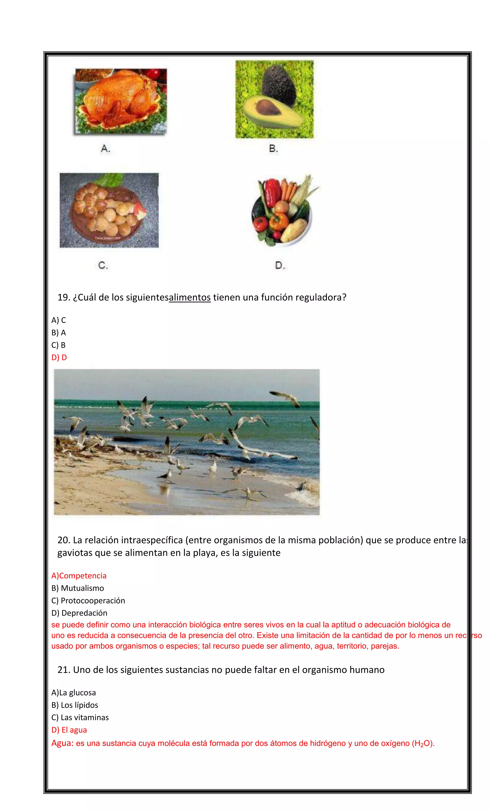 

19. ¿Cuál de los siguientesalimentos tienen una función reguladora?
A) C
B) A
C) B
D) D



20. La relación intraespecífica (entre organismos de la misma población) que se produce entre las
gaviotas que se alimentan en la playa, es la siguiente
A)Competencia
B) Mutualismo
C) Protocooperación
D) Depredación
se puede definir como una interacción biológica entre seres vivos en la cual la aptitud o adecuación biológica de
uno es reducida a consecuencia de la presencia del otro. Existe una limitación de la cantidad de por lo menos un recurso
usado por ambos organismos o especies; tal recurso puede ser alimento, agua, territorio, parejas.



21. Uno de los siguientes sustancias no puede faltar en el organismo humano
A)La glucosa
B) Los lípidos
C) Las vitaminas
D) El agua

Agua: es una sustancia cuya molécula está formada por dos átomos de hidrógeno y uno de oxígeno (H2O).


 