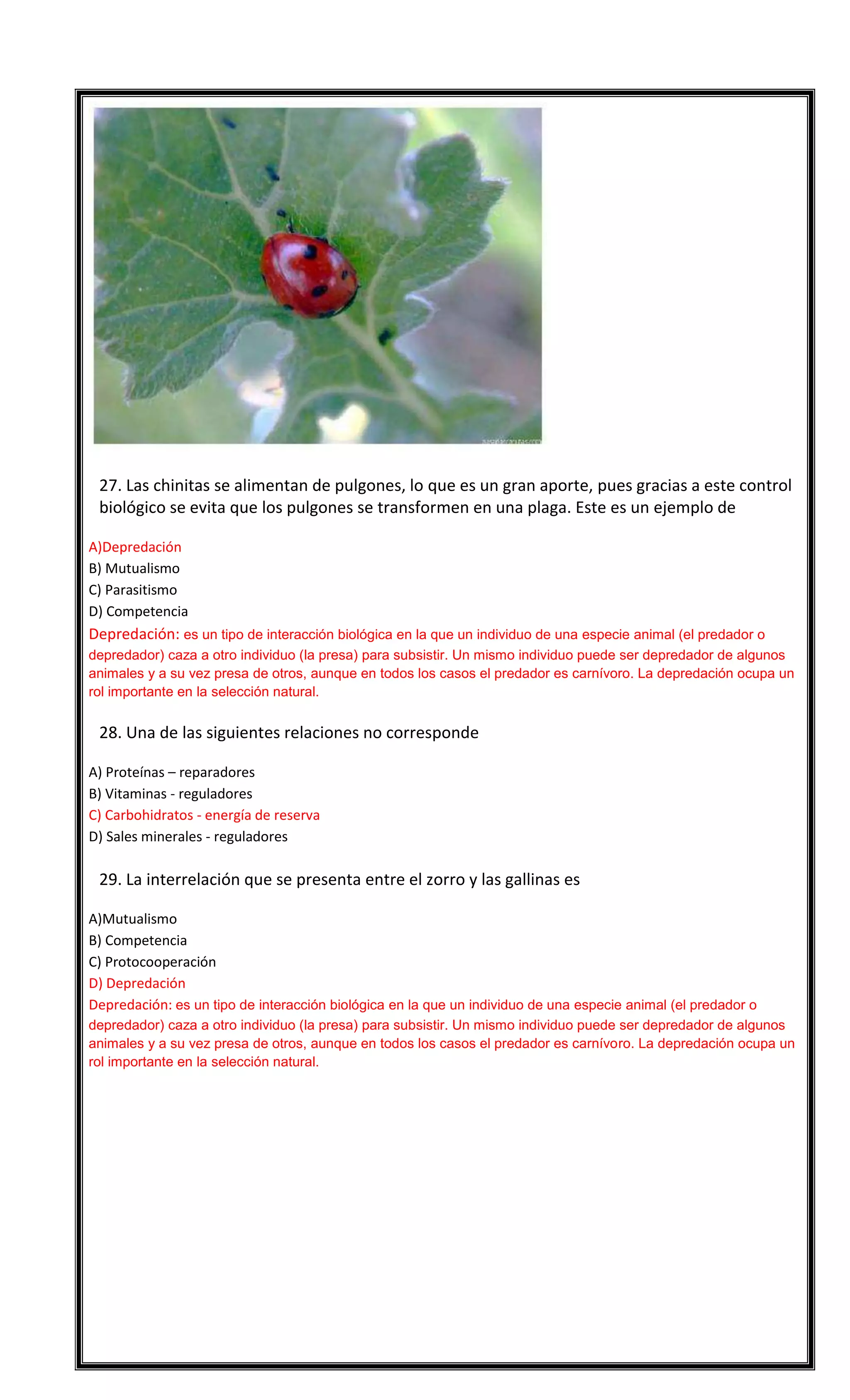 

27. Las chinitas se alimentan de pulgones, lo que es un gran aporte, pues gracias a este control
biológico se evita que los pulgones se transformen en una plaga. Este es un ejemplo de
A)Depredación
B) Mutualismo
C) Parasitismo
D) Competencia

Depredación: es un tipo de interacción biológica en la que un individuo de una especie animal (el predador o
depredador) caza a otro individuo (la presa) para subsistir. Un mismo individuo puede ser depredador de algunos
animales y a su vez presa de otros, aunque en todos los casos el predador es carnívoro. La depredación ocupa un
rol importante en la selección natural.


28. Una de las siguientes relaciones no corresponde
A) Proteínas – reparadores
B) Vitaminas - reguladores
C) Carbohidratos - energía de reserva
D) Sales minerales - reguladores



29. La interrelación que se presenta entre el zorro y las gallinas es
A)Mutualismo
B) Competencia
C) Protocooperación
D) Depredación
Depredación: es un tipo de interacción biológica en la que un individuo de una especie animal (el predador o
depredador) caza a otro individuo (la presa) para subsistir. Un mismo individuo puede ser depredador de algunos
animales y a su vez presa de otros, aunque en todos los casos el predador es carnívoro. La depredación ocupa un
rol importante en la selección natural.

1D -2B – 3 A – 4 B – 5 C - 6 A - 7 C - 8 C - 9D 10 A
11 D - 12 B – 13 B - 14 A – 15 A - 16 C - 17 D - 18 D - 19 D - 20 A
21 D – 22D – 23 A - 24 C - 25 D – 26 C - 27 A – 28 C - 29 D

 