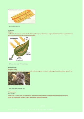 

4. Las células forman
A) Aparatos
B) Tejidos
Justificación: Un tejido es un conjunto de células similares que suelen te...