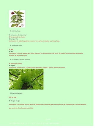 

7. Raíz tallo hojas
A) Pertenecen al reino animal
B) Son partes de las plantas
C) Son aparatos
Justificación: En todas ...