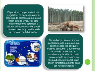 El papel se compone de fibras vegetales, es decir, de materia orgánica de elementos que están o han estado vivos. Por este motivo debemos aprender a valorar la importancia del papel como exponente y resultado de un proceso de fabricación.Sin embargo, aún no somos conscientes de la presión que supone sobre los bosques nuestro consumo, y aún menos el uso de productos tan cotidianos y de vida tan corta como sucede en muchos de los productos del papel, cuyo origen forestal raramente pasa por nuestra cabeza