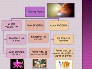 FILOSOFÍA GRIEGA - ANTROPOLOGIA | PPTX