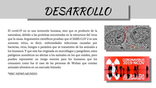El covid-19 no es una invención humana, sino que es producto de la
naturaleza, debido a las proteínas encontradas en la estructura del virus
que la causa. Argumentos científicos prueban que el SARS-CoV-2 es una
zoonosis vírica, es decir, enfermedades infecciosas causadas por
bacterias, virus, hongos o parásitos que se transmiten de los animales a
los humanos. Y que esta fue originada en murciélagos y pangolines, estos
patógenos zoonóticos no afectan a los animales en los que residen, pero
pueden representar un riesgo enorme para los humanos que los
consumen como fue el caso de las personas de Wuhan que comían
animales silvestres en un mercado húmedo.
*BBC-NEWS-MUNDO
DESARROLLO
 