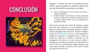 CONCLUSIÓN
Llegamos a concluir que este es un dilema aún por
resolver, pero que plantea tres medidas urgentes para
que una infección de esta naturaleza no se repita:
● Hacer un seguimiento de los coronavirus que infectan a
especies de mamíferos.
● Prohibir el tráfico de vida silvestre, y reducir la exposición
humana a la vida salvaje cerrando los mercados en los que
se venden animales salvajes vivos, una prohibición ya
adoptada por China.
Hemos visto que todo esto se trata de una buena noticia,
pues sirve para centrarnos en lo que realmente importa:
seguir los consejos de las autoridades sanitarias y ayudar a
frenar la propagación del coronavirus. Aunque la evidencia
muestra que el SARS-CoV-2 no es un virus manipulado a
propósito, actualmente es imposible probar o refutar las
teorías del origen de la COVID 19 descritas en esta
investigación. Sin duda es un claro tema por debatir e
investigar, pues existen claros puntos que se desconocen y si
bien es cierto no se puede afirmar ninguna hipótesis, pero
es tema para comentar y cuestionar y así conocer la verdad
de la aparición de este virus.
 