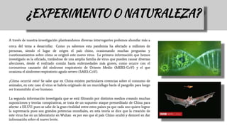 A través de nuestra investigación planteandonos diversas interrogantes podemos ahondar más a
cerca del tema a desarrollar. Como ya sabemos esta pandemia ha afectado a millones de
personas, siendo el lugar de origen el país chino, ocasionando muchas preguntas y
cuestionamientos sobre cómo se originó este nuevo virus. La primera información que hemos
investigado es la oficiada, tratándose de una amplia familia de virus que pueden causar diversas
afecciones, desde el resfriado común hasta enfermedades más graves, como ocurre con el
coronavirus causante del síndrome respiratorio de Oriente Medio (MERS-CoV) y el que
ocasiona el síndrome respiratorio agudo severo (SARS-CoV).
¿Cómo ocurrió esto? Se sabe que en China existen particulares creencias sobre el consumo de
animales, en este caso el virus se habría originado de un murciélago hacía el pangolín para luego
ser transmitido al ser humano.
La segunda información investigada que se está filtrando por distintos medios creando muchas
suposiciones y teorías conspirativas, se trata de un supuesto ataque premeditado de China para
afectar a EE.UU. pues se sabe de la gran rivalidad entre estos países ya que cada uno quiere lograr
la supremacía pues son grandes potencias mundiales, en esta teoría se dice que la creación de
este virus fue en un laboratorio en Wuhan es por eso que el país Chino ocultó y demoró en dar
información sobre el nuevo brote.
¿EXPERIMENTO O NATURALEZA?
 