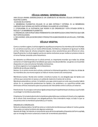 CÉLULA ANIMAL GENERALIZADA
UNA CELULA ANIMAL GENERALIZADA ES UN COMPUESTO DE MUCHAS CÉLULAS DIFERENTES DE
NUESTRO CUERPO.
-SE DIVIDE EN 4 PARTES
1. MEMBRANA PLASMATICA CELULAR: ES LA MAS EXTENSA Y EXTERNA. ES LA MEMBRANA
LIMITANTE QUE SEPARA LAS PARTES INTERNAS CELULARES DE LO EXTERNO.
2. CITOPLASMA: ES LA SUSTANCIA, QUE RODEA A LOS ORGANELOS Y ESTA SITUADA ENTRE EL
NÚCLEO Y LA MAMBRANA PLASMATICA.
3. ORGANELOS:SON ESTRUCTURAS PERMANENTES CON MORFOLOGIA CARACTERISTICA QUE SON
MUY ESPECIALIZADAS.
4. INCLUSIONES:SON LASSECRECIONESYPRODUCTOSALMACENADOSDELASCÉLULAS. (TORTORA,
1999)
CÉLULA VEGETAL
Comosunombre sugiere,lacélulavegetal esaquellaquecomponealosmiembrosdel reinoPlantae.
Es una célula eucariota, con un núcleo diferenciado, membrana y citoplasma al igual que la célula
animal. Ambos tipos de células comparten algunas otras características pero difieren en otras.
Específicamente,la célula vegetal cuenta con partes exclusivas ya que realiza un proceso único en
el reino Plantae conocido como fotosíntesis.
No obstante sus diferencias con la célula animal, es importante recordar que todas las células
contienen el material genético hereditario que pasa a los descendientes. Los genes se encuentran
dispuestos en unas estructuras llamadas cromosomas.
La célula vegetal es la encargada de la fotosíntesis.
PARTES DE LA CÉLULA VEGETAL
Núcleo. Es el centro mismo de la célula y contiene la informacióngenética. En todas las células de
los miembros de una misma especie se halla el mismo número de cromosomas.
Membrana nuclear. Recibe otro nombre: envoltura nuclear. Es una delgada capa de lípidos con
orificios que consienten el acceso y la salida de material al núcleo de la célula.
Membrana plasmática o celular. Es también una capa externa pero en este caso envuelve toda la
célula. En su composición predominan los lípidos y las proteínas y su superficie exhibe unos
diminutos orificios necesarios para los procesos de intercambio entre la célula y el exterior.
Paredcelular.Esunacapao estructurarígidacompuestaprincipalmenteporcelulosaycuyafunción
es proteger la membrana plasmática.
Citoplasma.Eslamateriadentrode lamembranaplasmáticaque contieneal citosol yalosorgánulos
de la célula. Está revestida por una delgada película. Para entenderlo mejor, es todo lo que se
encuentra entre la membrana plasmática y el núcleo.
ORGANELOS U ORGÁNULOS:
Retículoendoplasmático.Se define comoun sistemade membranasque rodeanel núcleo,gracias
a las cuales se realiza la síntesis de algunas sustancias.
Aparatode Golgi.Se tratade unconjuntode sacosdeformaaplanadaydispuestosdeformaapilada,
que se encarga de enviar sustancias a través de la membrana plasmática.
 