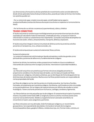 Las dimensionesyformasde lascélulasepitelialesde revestimientovaríanconsiderablemente:
desde célulasaplanadashastacélulasprismáticasaltas,pasandoportodaslasformasintermedias.
Los epiteliospuedenser:
· Por su númerode capas:simples(unasolacapa),estratificados(variascapas) o
seudoestratificados(núcleosde diversasalturasperolascélulasse implantanenlamismalámina
basal).
· Por lasformasde suscélulas:escamosos(opavimentosos),cúbico,cilíndrico
TEJIDO CONECTIVO
El tejidoconjuntivose caracterizapormorfológicamente porpresentardiversostiposde células
separadaspor abundante material intercelular,sintetizadoporellas.Lariquezaenmaterial
intercelularesunade sus característicasmás importantes.Lostejidosconjuntivosdesempeñanlas
funcionesde sostén,relleno,almacenamiento,transporte,defensayreparación.
El tejidoconjuntivointegrael sistemainmunitariode defensacontralasproteínasextrañas
presentesenlasbacterias,virus,célulastumorales,etc.
El tejidoestácompuestoporsustanciafundamental,fibrasycélulas.
Sustanciafundamental
La sustanciafundamental estáformadaporlíquidoextracelularymoléculasgrandescomo
polisacáridosyproteínasde adherencia,fundamentalmente colágeno.
Sostiene lascélulas,lasmantiene unidasyproporcionael medioenel que se establece el
intercambiode sustanciasentre lasangre ylascélulas.Intervieneenlaactividadmetabólica.
Fibras
Las fibrasdel conjuntivosonproteínasque formanestructurasalargadaspresentesen
proporcionesvariablesenlosdiversostiposde tejidos.Lostrestiposprincipalesde fibras
conjuntivasson:colágenas,reticularesyelásticas,que se distribuyende formadesigualentre las
distintasclasesde tejidoconjuntivo.Muchasveceslasfibraspredominantessonresponsablesde
ciertaspropiedadesdeltejido.
Las fibrasde colágenosonlas másfrecuentesenel tejidoconjuntivo.Sonfuertesyflexibles.
Formadas,principalmente porlaproteínacolágeno.Sonblancas,confiriendoese coloralostejidos
enlas que predominan.Porserlargasy de trayectotortuososon difícilesde estudiarencortes
histológicos.Tienenunafuerte presenciaenloshuesos,cartílagos,tendonesyligamentos.
Las fibraselásticassonmáspequeñasque lasde colágeno.El componenteprincipal eslaproteína
elastina.Se puedenestirarhasta150% su longitudyvuelve asuforma inicial tanprontocomo
cesanlas fuerzas deformantes.Debidoaunpigmentotienencoloraciónamarillenta.Se
encuentranenlapiel,vasossanguíneosypulmones.
Las fibrasreticularessonmuydelicadas.Estánformadasporcolágenoyun revestimiento
glucoproteico.Sonespecialmente abundantes,formandoel armazónde losórganos
hemocitopoyéticos(bazo,ganglioslinfáticos,médulaósearoja,etc.) Formanredes,estroma,en
 