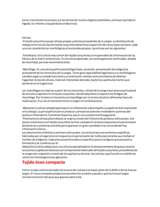 torno a lascélulasmuscularesya lascélulasde muchosórganosepiteliales,comoporejemploel
hígado,los riñonesylasglándulasendócrinas).
Células
El tejidoconjuntivoposee célulaspropiasycélulasprocedentesde lasangre.La distribuciónde
trabajoentre lascélulasdel tejidoconjuntivodeterminalaapariciónde variostiposcelulares,cada
unocon características morfológicasyfuncionalespropias.Lascélulassonlassiguientes:
Fibroblasto:Esla célulamáscomúndel tejidoconjuntivoylaresponsable de laformaciónde las
fibrasy de la matrizextarcelular.Esunacélulaaplanada,conprolongacionesramificadas,dotada
de movilidad,perode movimientolento.
Macrófago: Es unacélulapolifuncional(fagocitosis,secreción,presentaciónde antígenos)
procedente de losmonocitosde lasangre.Tiene grancapacidadde fagocitosisysumorfologíaes
variable segúnsuestadofuncional ysulocalización.Actúancomoelementosde defensa.
Fagocitanrestosde células,material intercelularalterado,bacteriasypartículasinertesque
penetranenel organismo.
Los macrófagosse originana partir de losmonocitos, célulasde lasangre que atraviesanlapared
de vénulasycapilaresenel tejidoconjuntivo,dondeadquierenel aspectomorfológicode
macrófago.Por lotanto el monocitoyel macrófagoson la mismacélulaendiferentesfasesde
maduración.A su vezel monocitotiene suorigenenlamédulaósea.
Mastocito (océlulacebada) participaenlainflamaciónydesempeñaunpapel central importante
enla alergia.La principal funciónesproduciryalmacenarpotentesmediadoresquímicosdel
procesoinflamatorio.Contienenheparina,que esunasustanciaanticoagulante.
Plasmocito(océlulasplasmáticas) se originaatravésde linfocitosByproduce anticuerpos.Son
pocosnumerososenel tejidoconjuntivonormal,exceptoenlasáreasexpuestasalapenetración
de bacteriasy proteínasextrañasperoaparecenengran cantidadenlas zonasdonde hay
inflamacióncrónica.
Los plasmocitossintetizanysecretananticuerpos.Losanticuerpossonproteínasespecíficas
fabricadaspor el organismoenrespuestaalapenetraciónde moléculasextrañasque recibenel
nombre de antígenos.Cadaanticuerpoformadoesespecíficoparael antígenoque provocósu
formaciónyse combinacon él.
Adipocito(océlulaadiposa)esunacélulaespecializadaenel almacenamientode grasasneutras.
Leucocitos(oglóbulosblancos) soncomponenteshabitualesdeltejidoconjuntivo,procedentesde
la sangre por migracióna travésde loscapilaresyvénulas.Soncélulascuyafunciónesladefensa
contra losmicroorganismosagresores.
Tejido óseo compacto
Forma lacapa externade todosloshuesosdel cuerpoylamayor parte de la diáfisisde loshuesos
largos.El huesocompactoproporcionaprotecciónysostényayudaa que loshuesoslargos
resistanlatensióndel pesoque gravitasobre ellos.
 