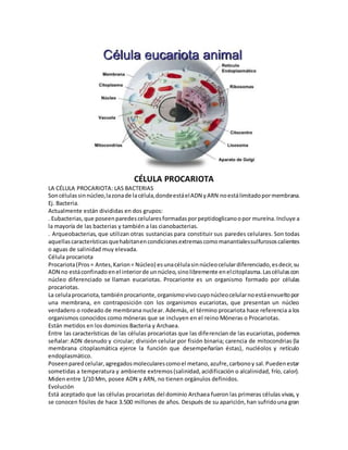 CÉLULA PROCARIOTA
LA CÉLULA PROCARIOTA: LAS BACTERIAS
Soncélulassinnúcleo,lazonade lacélula,dondeestáelADN yARN noestálimitadopormembrana.
Ej. Bacteria.
Actualmente están divididas en dos grupos:
. Eubacterias,que poseenparedescelularesformadasporpeptidoglicanoopor mureína.Incluye a
la mayoría de las bacterias y también a las cianobacterias.
. Arqueobacterias, que utilizan otras sustancias para constituir sus paredes celulares. Son todas
aquellascaracterísticasquehabitanencondicionesextremascomomanantialessulfurososcalientes
o aguas de salinidad muy elevada.
Célula procariota
Procariota(Pros= Antes,Karion= Núcleo) esunacélulasinnúcleocelulardiferenciado,esdecir,su
ADN no estáconfinadoenel interiorde unnúcleo,sinolibremente enelcitoplasma.Lascélulascon
núcleo diferenciado se llaman eucariotas. Procarionte es un organismo formado por células
procariotas.
La celulaprocariota,tambiénprocarionte,organismovivocuyonúcleocelularnoestáenvueltopor
una membrana, en contraposición con los organismos eucariotas, que presentan un núcleo
verdadero o rodeado de membrana nuclear. Además, el término procariota hace referencia a los
organismos conocidos como móneras que se incluyen en el reino Móneras o Procariotas.
Están metidos en los dominios Bacteria y Archaea.
Entre las características de las células procariotas que las diferencian de las eucariotas, podemos
señalar: ADN desnudo y circular; división celular por fisión binaria; carencia de mitocondrias (la
membrana citoplasmática ejerce la función que desempeñarían éstas), nucléolos y retículo
endoplasmático.
Poseenparedcelular,agregadosmolecularescomoel metano,azufre,carbonoy sal.Puedenestar
sometidas a temperatura y ambiente extremos(salinidad,acidificación o alcalinidad, frío, calor).
Miden entre 1/10 Mm, posee ADN y ARN, no tienen orgánulos definidos.
Evolución
Está aceptado que las células procariotas del dominio Archaea fueron las primeras células vivas, y
se conocen fósiles de hace 3.500 millones de años. Después de su aparición,han sufridouna gran
 