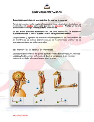 PAOLARIVERABRIONES
SISTEMAS BIOMECÁNICOS
Organización del sistema biomecánico del aparato locomotor
Para la biomecánica resulta muy beneficioso este enfoque sobre todo en el estudio de los
movimientos del hombre como leyes que rigen su dirección. Analiza un modelo
simplificado del cuerpo humano: sistema biomecánico.
De esta forma, el sistema biomecánico es una copia simplificada, un modelo del
cuerpo humano en el cual se pueden estudiar las leyes del movimiento.
Las propiedades y regímenes del aparato locomotor dependen de las particularidades de
los miembros de las cadenas biocinemáticas, de los mecanismos de uniones y de las
sinergias musculares que se forman en ellos.
Los miembros de las cadenas biocinemáticas
Las cadenas biocinemáticas del aparato locomotor constan de miembros duros, elásticos-
viscosos y flexibles, unidos en forma móvil, donde la composición de los miembros
motores, la longitud y la forma de la cadena son variables.
 
