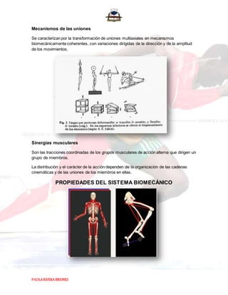 PAOLARIVERABRIONES
Mecanismos de las uniones
Se caracterizan por la transformación de uniones multiaxiales en mecanismos
biomecánicamente coherentes, con variaciones dirigidas de la dirección y de la amplitud
de los movimientos.
Sinergias musculares
Son las tracciones coordinadas de los grupos musculares de acción alterna que dirigen un
grupo de miembros.
La distribución y el carácter de la acción dependen de la organización de las cadenas
cinemáticas y de las uniones de los miembros en ellas.
PROPIEDADES DEL SISTEMA BIOMECÁNICO
 