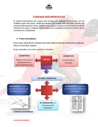 PAOLARIVERABRIONES
CADENAS BIOCINEMÁTICAS
El sistema biomecánico del cuerpo está formado por cadenas biomecánicas, son las
múltiples partes del cuerpo, unidad de manera móvil a ellas están aplicadas fuerzas, que
provocan deformaciones de los miembros del cuerpo y variación del movimiento de dichos
miembros los pares y cadenas biocinematicas son conceptos tomado de la teoría de los
mecanismos y maquinarias
 Pares cinemáticos
Es la unión móvil de los miembros de unión determinada las limitaciones (enlaces)
ante el movimiento relativo.
El par cinemático es la unión móvil de 2 miembros.
Cadenas cinemáticas
ENLACES
GEOMETRICOS
Obstáculo constante al
desplazamiento en
determinada dirección.
CINEMÁTICOS
Limitación de la
velocidad.
LOS PARES CINEMATICOS
DE TRASALACION: Un
miembro puede
desplazarse
paralelamente al otro
DE ROTACION: (Los giros en
las articulaciones cilíndricas y
esferoideas.)
HELICOIDALES: Cuando se
combinanlosmovimientos
de traslación y rotación.
 