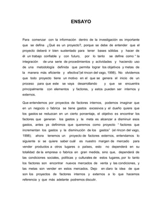 Ensayo de desarrollo de  proyectos