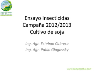 Ensayo Insecticidas
Campaña 2012/2013
   Cultivo de soja
 Ing. Agr. Esteban Cabrera
 Ing. Agr. Pablo Glagovsky



                         www.campoglobal.com
 