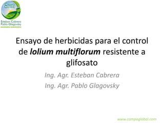 Ensayo de herbicidas para el control
de lolium multiflorum resistente a
glifosato
Ing. Agr. Esteban Cabrera
Ing. Agr. Pablo Glagovsky
www.campoglobal.com
 