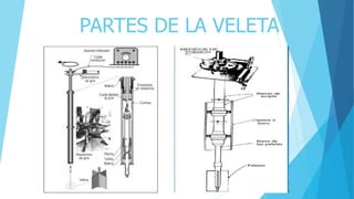 PARTES DE LA VELETA
 
