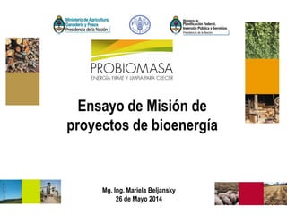 Ensayo de Misión de
proyectos de bioenergía
Mg. Ing. Mariela Beljansky
26 de Mayo 2014
 
