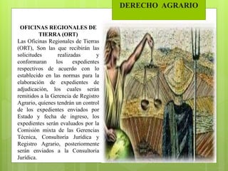 DERECHO AGRARIO
OFICINAS REGIONALES DE
TIERRA (ORT)
Las Oficinas Regionales de Tierras
(ORT), Son las que recibirán las
solicitudes realizadas y
conformaran los expedientes
respectivos de acuerdo con lo
establecido en las normas para la
elaboración de expedientes de
adjudicación, los cuales serán
remitidos a la Gerencia de Registro
Agrario, quienes tendrán un control
de los expedientes enviados por
Estado y fecha de ingreso, los
expedientes serán evaluados por la
Comisión mixta de las Gerencias
Técnica, Consultoría Jurídica y
Registro Agrario, posteriormente
serán enviados a la Consultoría
Jurídica.
 