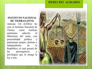 DERECHO AGRARIO
INSTITUTO NACIONAL
DE TIERRAS (INTI)
Artículo 116 (LTDA): Se
crea el Instituto Nacional de
Tierras, como instituto
autónomo adscrito al
Ministerio del ramo, con
personalidad jurídica y
patrimonio propio, distinto e
independiente de la
República, el cual gozará de
las prerrogativas y
privilegios que le otorga la
ley a esta.
 