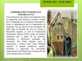 DERECHO AGRARIO
CORPORACIÓN VENEZOLANA
AGRARIA (CVG)
Esta institución nace bajo la necesidad de crear
un organismo cuya función se oriente a luchar
por la búsqueda de la soberanía alimentaria y
evitar la dependencia por la importación de
alimentos. Fue así que un 13 de noviembre del
2001 bajo el Decreto de Ley de Tierras y
Desarrollo Agrario, se crea la Corporación
Venezolana Agraria (CVA), como un instituto
autónomo que, a partir de las políticas,
estrategias y directrices emanadas del
Ministerio del Poder Popular para la
Agricultura y Tierras, tiene como finalidad
impulsar el aparato productivo agrario,
coordinar y supervisar las actividades
empresariales del Estado para el desarrollo del
sector agropecuario en el país.
 